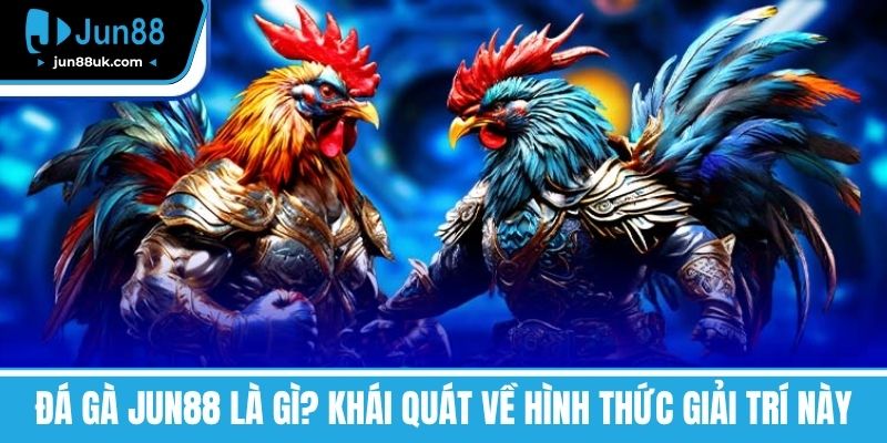 Đá Gà Jun88 là gì? Khái quát về hình thức giải trí này
